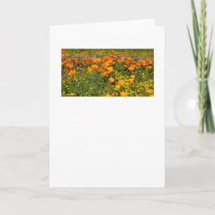 Cartão California Poppies Landscape Greeting Card