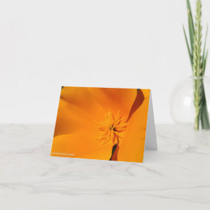 Cartão California Poppy