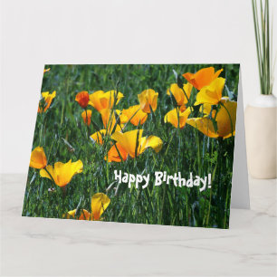 Cartão California Poppy Wildflower Birthday Greeting Card