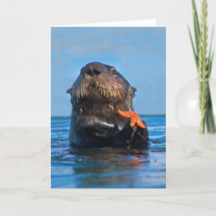 Cartão California Sea Otter Holding Starfish