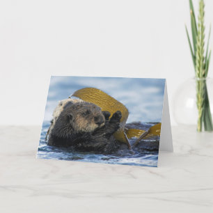 Cartão California Sea Otters