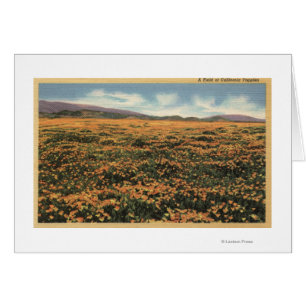 Cartão CaliforniaA Field of California Poppies