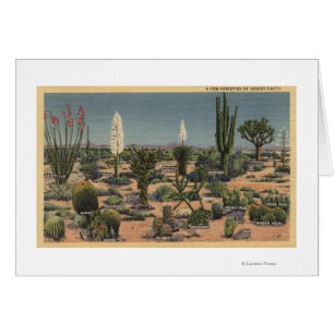 Cartão CaliforniaVariedades de Cactos do Deserto