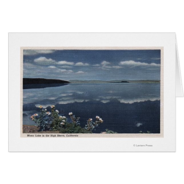 Cartão CaliforniaView do lago Mono na Serra Alta (Frente Horizontal)