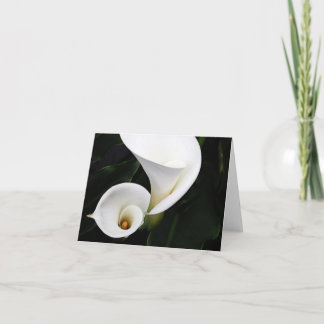 Cartão Calla branco Lillies