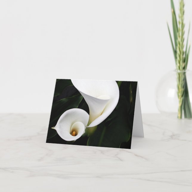 Cartão Calla branco Lillies (Frente)