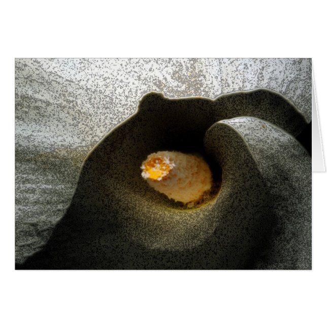 Cartão Calla Closeup (Frente Horizontal)