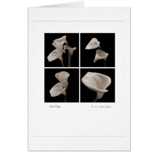 Cartão Calla_collage_2007_Brochure 2010