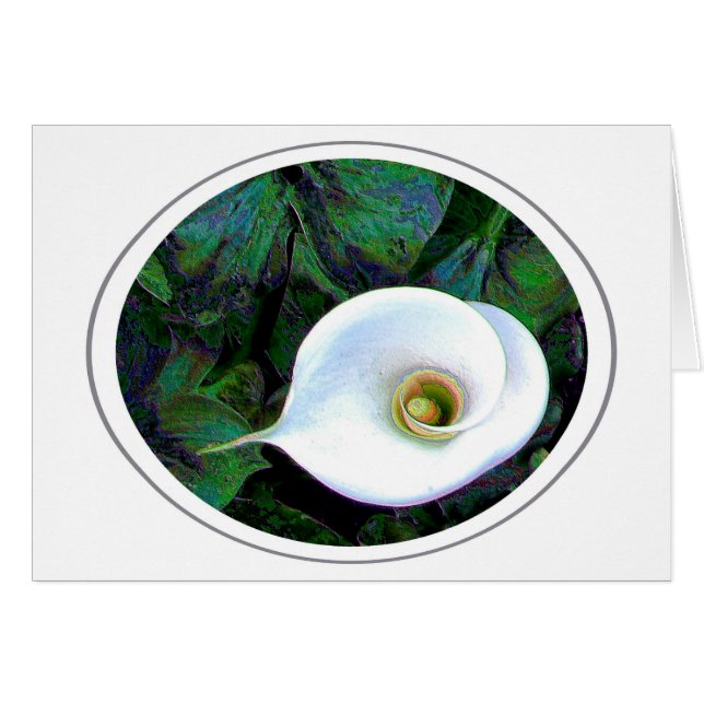 Cartão Calla Lily (Frente Horizontal)