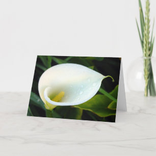 Cartão Calla Lily