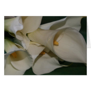 Cartão Calla Lily