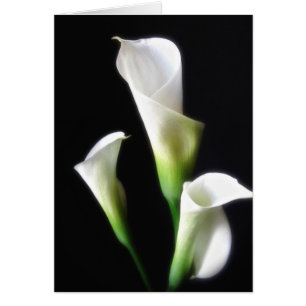 Cartão Calla Lily 3