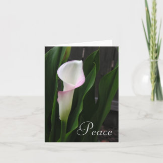 Cartão Calla Lily Note Cards
