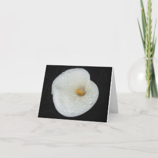 Cartão CallaLily após um chá NoteCard da noite