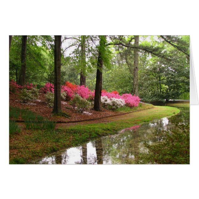 Cartão Callaway Stream (Frente Horizontal)