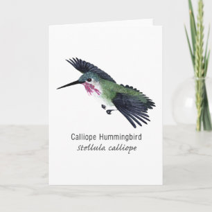 Cartão Calliope Hummingbird com Nome