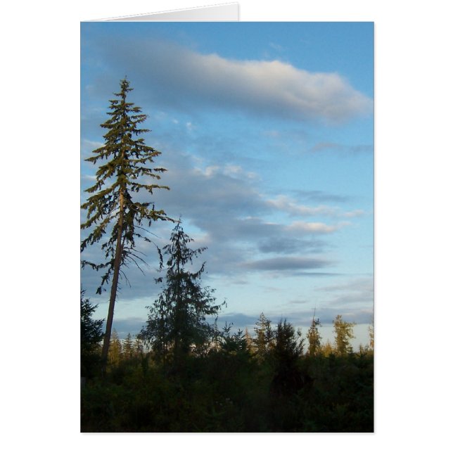 Cartão Calm Blue Skies (Frente)