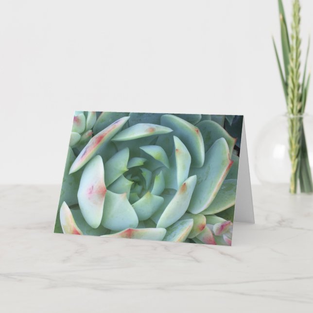 Cartão Calma (Frente)