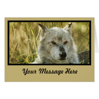 Cartão Calma perigosa em bronzeado