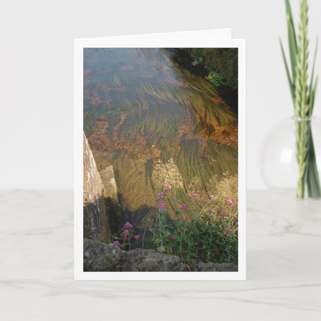 Cartão Cama de rio (Frente)