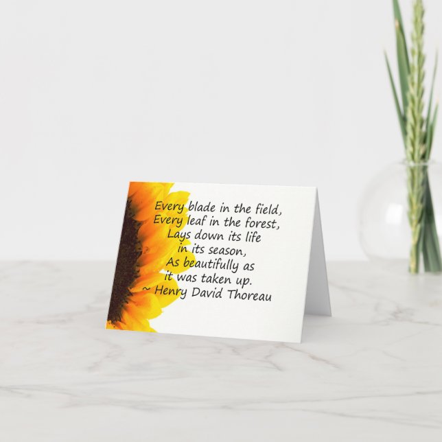 Cartão Camadas da Vida (Frente)