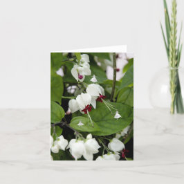 Cartão Camadas de Sombra dos Sinos Brancos