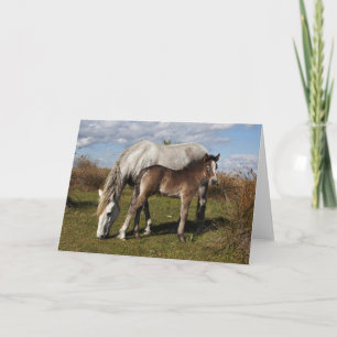 Cartão Camargue Horse Foal com Mãe