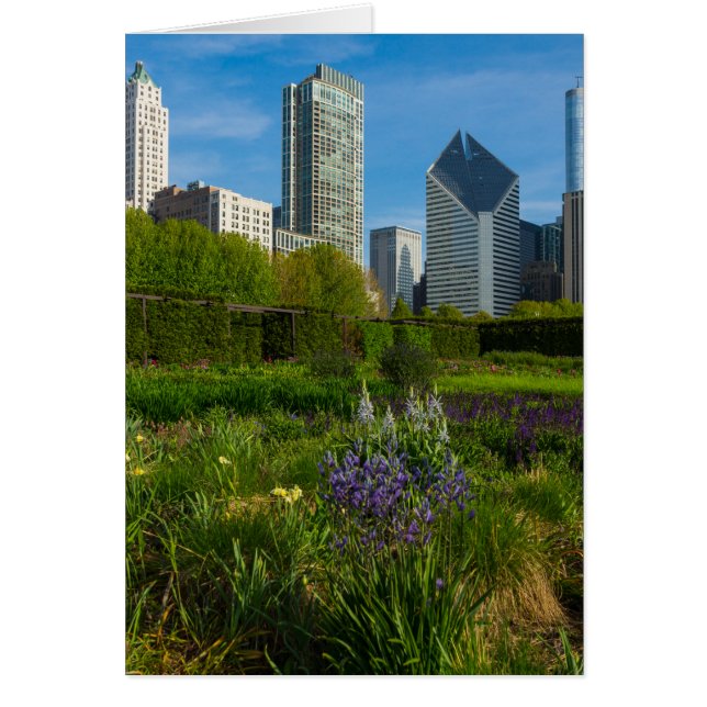 Cartão Camassia Na Cidade (Frente)