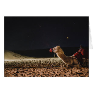 Cartão Camel Deitado No Céu Da Meia-Noite