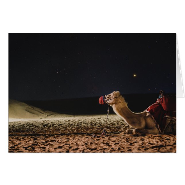Cartão Camel Deitado No Céu Da Meia-Noite (Frente Horizontal)