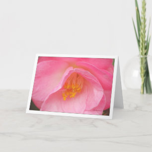 Cartão Camelia cor-de-rosa macio