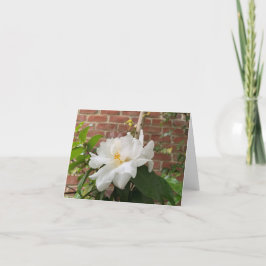 Cartão Camélia (em branco)