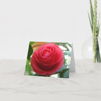 Cartão Camélia Notecard