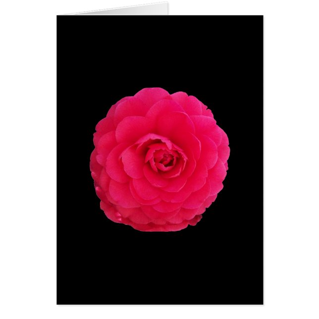 Cartão Camélia Rosa Brilhante (Frente)