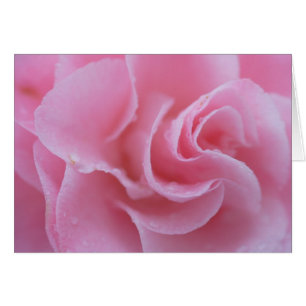 Cartão Camellia comum rosa