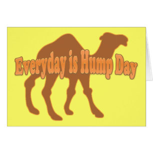 Cartão Camelo Hump Day