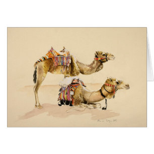 Cartão Camelos de PETRA 2007