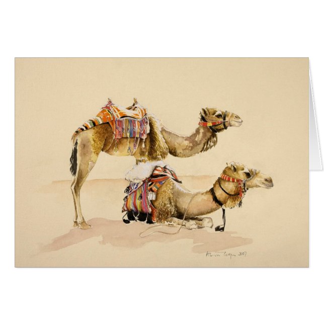 Cartão Camelos de PETRA 2007 (Frente Horizontal)