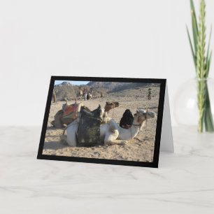 Cartão Camelos Descansando no Deserto