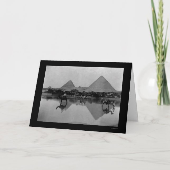 Cartão Camelos e Pirâmides no Egito 1899 (Frente)