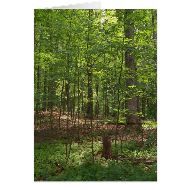 Cartão Caminhada da floresta (Frente)