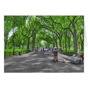 Cartão Caminhada Literária - Central Park, Nova Iorque