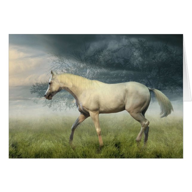 Cartão Caminhada no parque (Frente Horizontal)