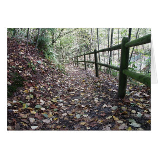 Cartão Caminhada no parque