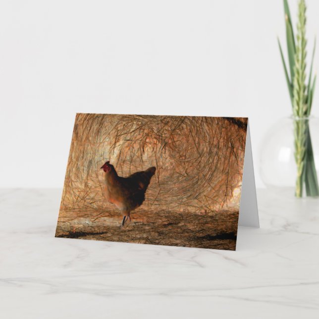 Cartão "Caminhando" - Galinha de Fotos Digitalmente Aprim (Frente)