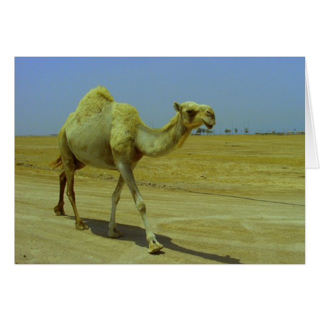 Cartão Caminhando pela longa estrada (Frente Horizontal)