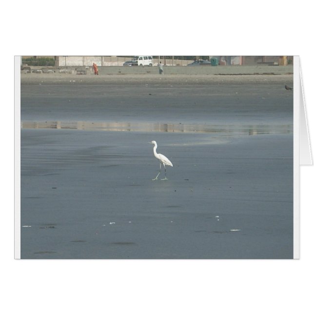 Cartão Caminhando solo.JPG (Frente Horizontal)