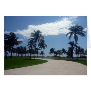 Cartão caminho de miami