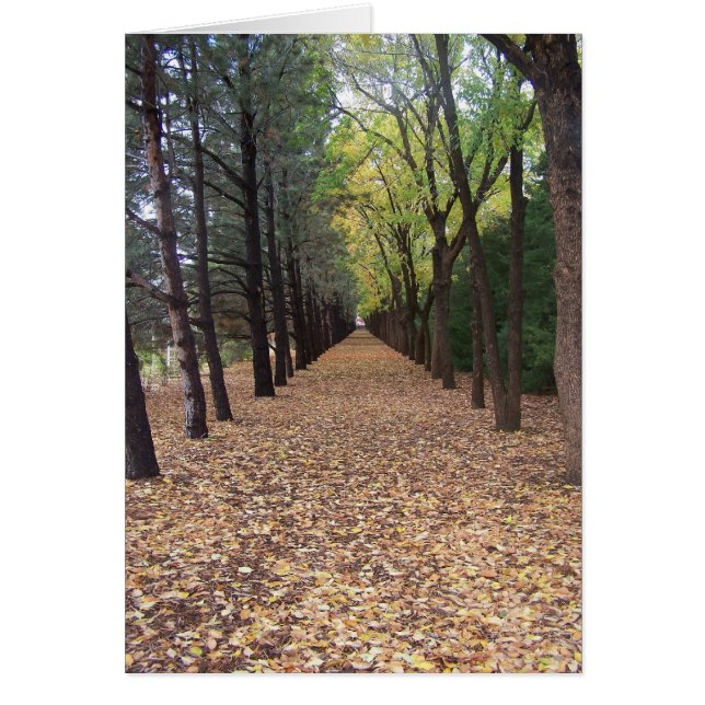 Cartão Caminho do Colorado (Frente)