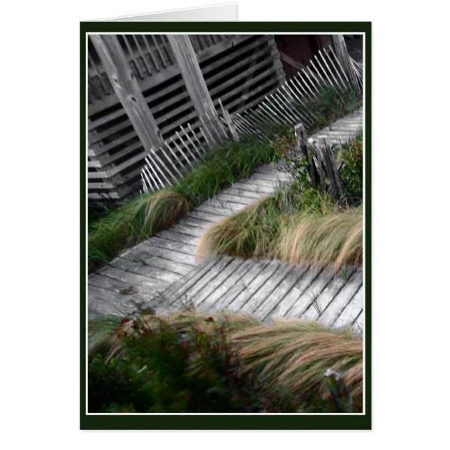 Cartão Caminho do conselho (Frente)